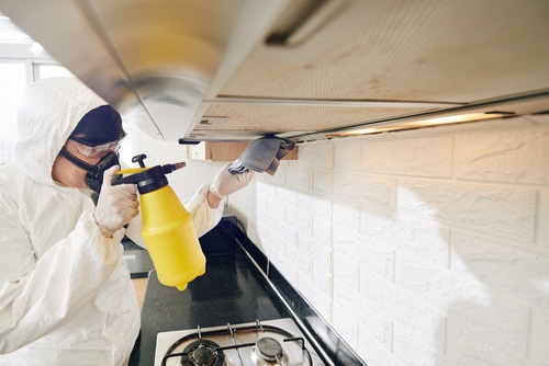 Commercial Kitchen Exhaust Cleaning Ontario