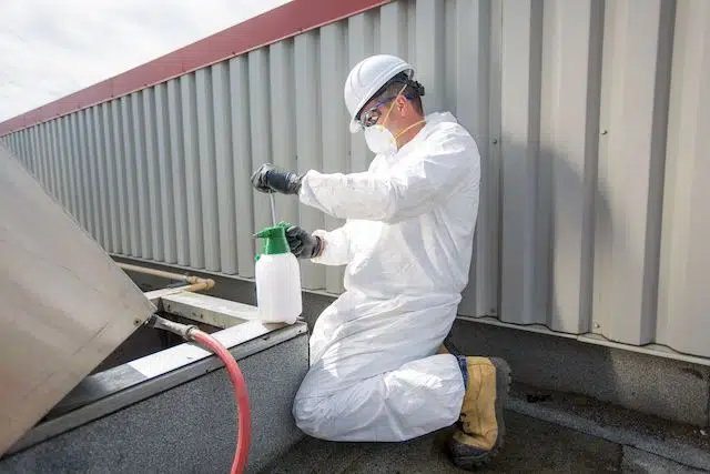Roofs need cleaning system